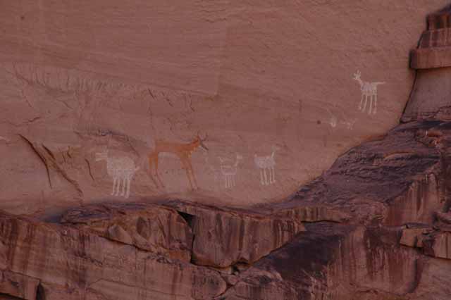 petroglyphs and pictographs